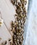 A  congestion of bees on a sheet of cardboard. Swarming of the bees. Honey bee