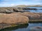 Conglomerate rock fore and inclined strata behind on the Ness of Burgi, south Shetland, UK - Hayes Sandstone Formation