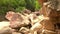 Conglomeration of Large Brown Boulders by River in Park