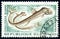 CONGO - CIRCA 1961: stamp printed in People`s Republic of Congo shows animal Sloane`s Viperfish Chauliodus sloani, circa 1961