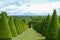 Conical hedges lines and lawn, Versailles Chateau, France