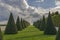 Conical hedges lines and lawn, Versailles Chateau, France