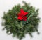 Conifer christmas circle decoration with red poinsettia