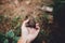 Conifer cone And fern in the jungle,Hand is holding