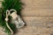 Coniferous air fragrance in a glass bottle with a wooden stopper with spruce branches on a wooden background