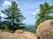 Coniferous cedars grow among the rocks. View of a large space of taiga