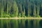 Coniferous Fir Forest and lake mirror reflection wild woods landscape moody weather