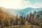 Coniferous forest on the Carpathians background.