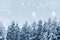 Coniferous forest covered with snow landscape backdrop. Winter season wild nature scenery. Snowy weather. Downfall in spruce