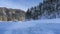 A coniferous forest grows on the bank of a frozen river.