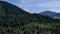 Coniferous forests landscape in Ukrainian Carpathians.