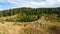 Coniferous forests on the slopes of Mount Vitorog