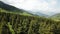 Coniferous green fir trees, far away snowy mountains and clouds.