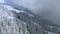 Coniferous pine forest covered hoarfrost and snow in winter mountain from drone