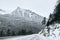 Coniferous snowy forest in the Rocky Mountains.