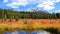 Coniferous trees in front of Canadian rocky mountains in autumn time