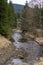 Coniferous trees grow along the a riverbed of a cold mountain river