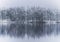 Coniferous trees in winter, reflected in river or lake