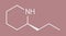 Coniine herbal toxin molecule. Present in poison hemlock Conium maculatum. Skeletal formula.