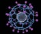 The conjugation of fullerene with well-established drug molecules