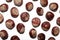 Conkers on white background