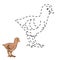 Connect the dots game: farm bird (turkey)