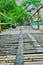 connecting bridge on the edge of the mangrove forest.