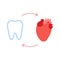 Connection of healthy teeth and heart. Relation health of human heart and tooth. Cardiovascular and chewing unity
