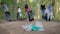 Conscious citizens arranged for cleaning the forest from household waste. Women volunteers collect rubbish in the nature