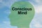 Conscious Mind concept