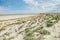 Consequences of Aral sea catastrophe. Sandy salt desert on the place of former bottom of Aral sea