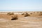 Consequences of Aral sea catastrophe. Sandy salt desert on the place of former bottom of Aral sea