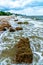 The consequences of the dam break of the Kakhovka power plant, the current brought garbage and floating islands of reeds and river