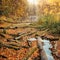 Consequences of deforestation around river in Autumn color