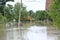 The consequences of flooding, house with truck