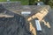 Consequences of natural disaster. Damaged house roof with missing shingles after hurricane Ian in Florida