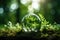 Conservation concept to preserve the earth's environment on grass with ferns and sunlight.by Generative AI