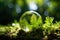 Conservation concept to preserve the earth's environment on grass with ferns and sunlight.by Generative AI