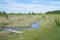 Conservation Significant Lake Huron Coastal Wetland