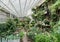 Conservatory garden insinde Barbican center