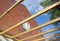 Conservatory roof panels