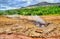 Constantly boiling Litli Geysir in Iceland