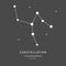 The Constellation Of Camelopardalis. The Giraffe - linear icon. Vector illustration of the concept of astronomy.