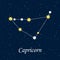 Constellation capricorn zodiac horoscope astrology stars night