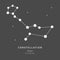 The Constellation Of Cetus. The Sea Monster - linear icon. Vector illustration of the concept of astronomy.