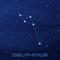 Constellation Delphinus, Dolphin, night star sky