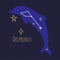 Constellation of delphinus, dolphin star shape