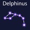 constellation Delphinus with stars in the night sky