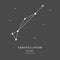 The Constellation Of Dorado. The Dolphinfish - linear icon. Vector illustration of the concept of astronomy.