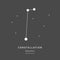 The Constellation Of Equuleus. The Little Horse - linear icon. Vector illustration of the concept of astronomy.